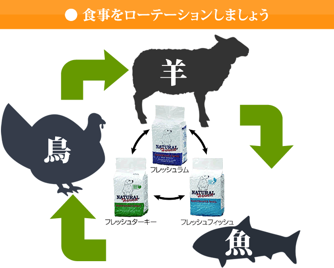 ナチュラルハーベスト ローテーションセット 6袋セット ナチュラルハーベスト（NATURAL harvest） ローテーションセット 2袋×3