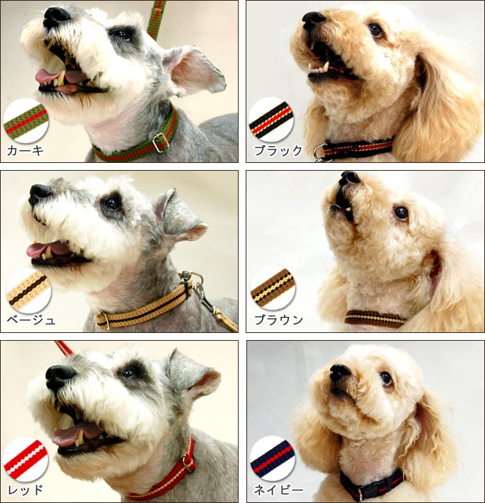 M beaute ♡犬用首輪 M beaute ♡犬用首輪