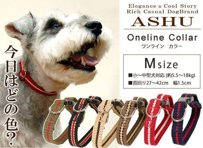 【新品未使用】AMUBIS 首輪 ASHU 犬 首輪 ワンライン カラーMサイズ : 安心おやつ歯みがき