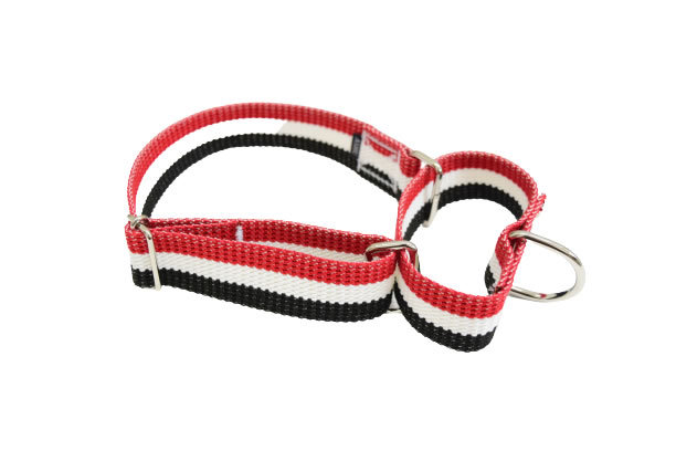 ASHU 犬用 トリコロール チェーンレス ハーフチョーク Lサイズ 大型犬