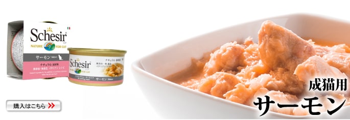 シシア（Schesir） 猫缶｜/キャット ツナ＆サーモン缶 70g ナチュラル