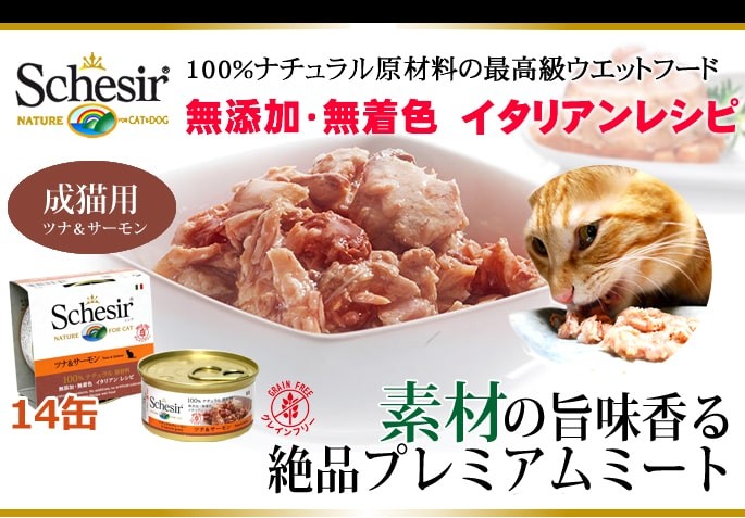 シシア（Schesir） 爆買 猫缶｜/キャット ツナ＆サーモン缶 70g 14缶