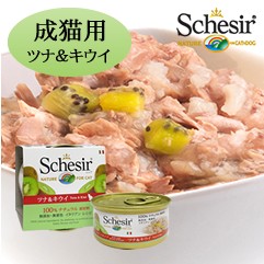 シシア（Schesir） 猫用 キャット フルーツタイプ ツナ＆キウイ 75g 14