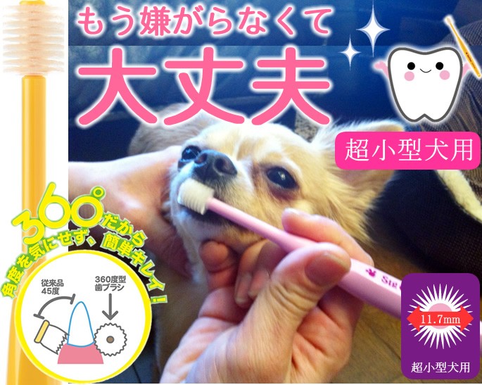 犬 歯磨き ペット歯ブラシ シグワン 超小型犬用 ビバテック :teeth-05s ...