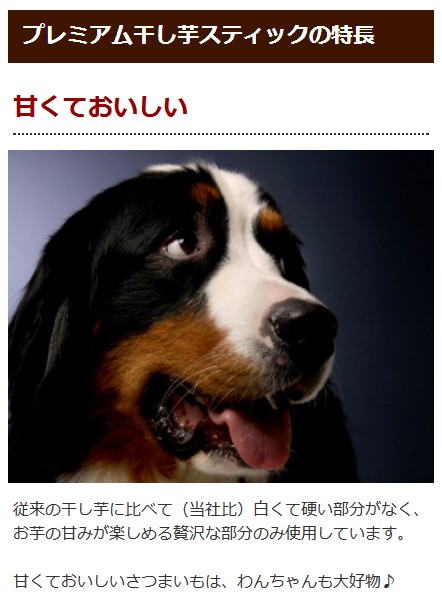 犬 おやつ 無添加 手作り 安心 国産 プレミアム干し芋スティック Tge p 犬デンタルケア帝塚山ハウンドカム 通販 Yahoo ショッピング