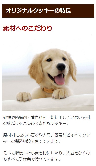 犬 おやつ 無添加 国産 オリジナルクッキー バナナ 安心 :P-100733-2:犬手作りごはん帝塚山ハウンドカム - 通販 -  Yahoo!ショッピング