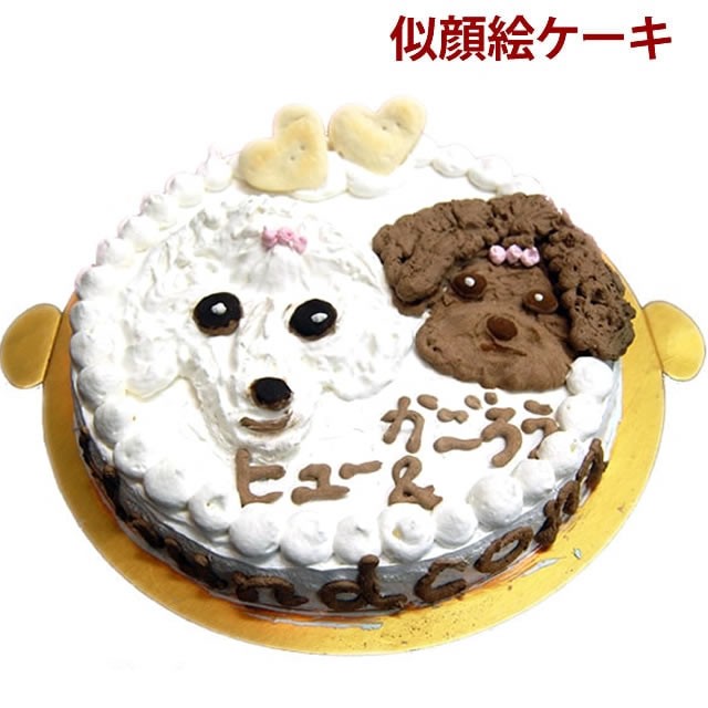 犬用 食堂の手作りレアチーズケーキ 砂糖不使用 犬 国産 犬用ケーキ スイーツ おやつ ハウンドカム食堂 無添加 冷凍 5個入り