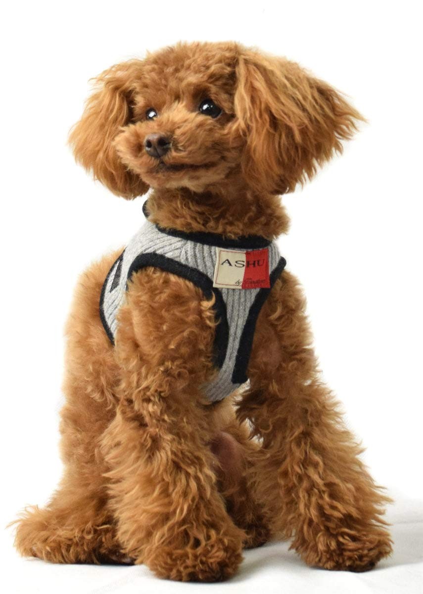 犬用ハーネス 超小型犬 ASHU ニットウェアハーネス SSサイズ 犬 服 :T-000126:犬手作りごはん帝塚山ハウンドカム - 通販