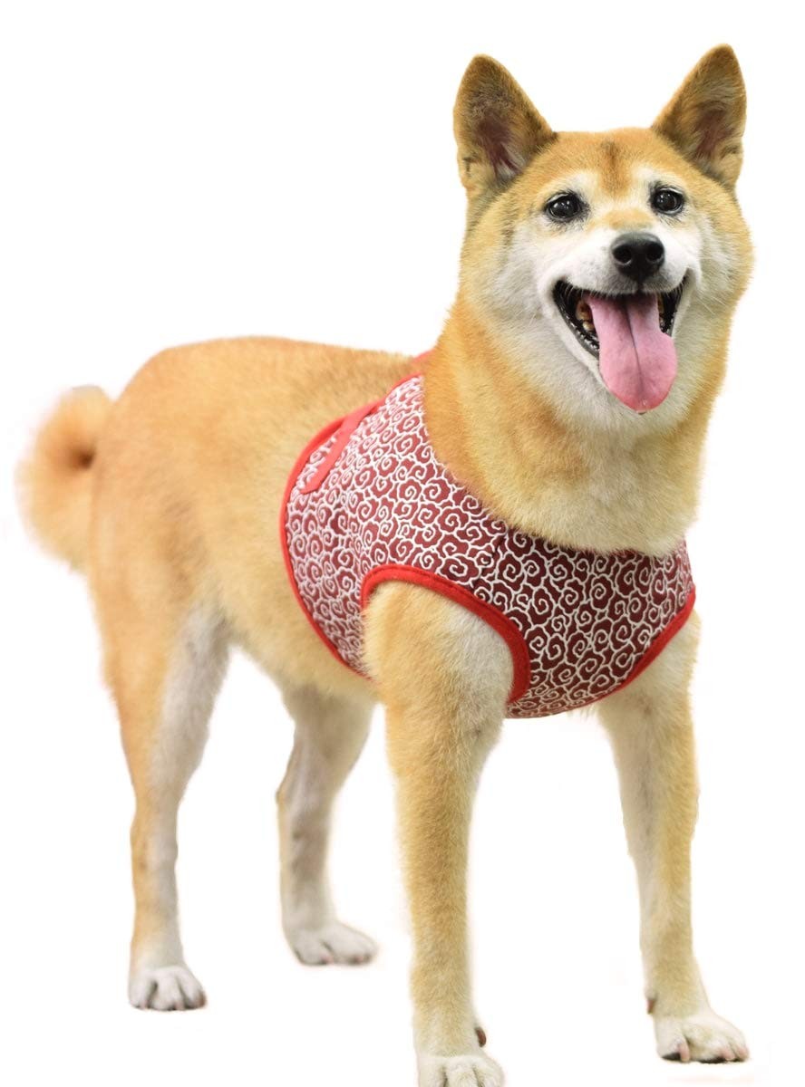 ASHUウェアハーネス 唐草セット LLサイズ(中型犬用)