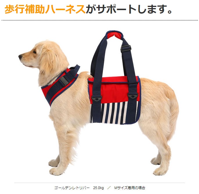 LaLaWalk（TOMBOW） 歩行補助ハーネス LaLaWalk大型犬用 ナチュラル
