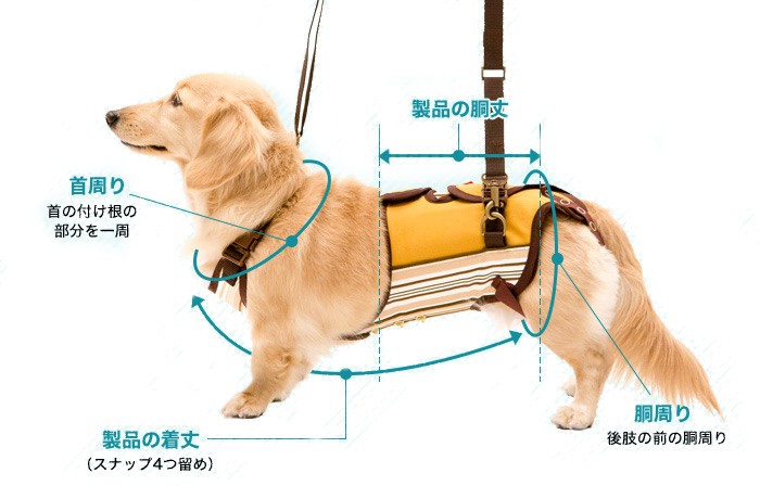 LaLaWalk（TOMBOW） 介護用歩行補助ハーネス LaLaWalk 小型犬 ダックス
