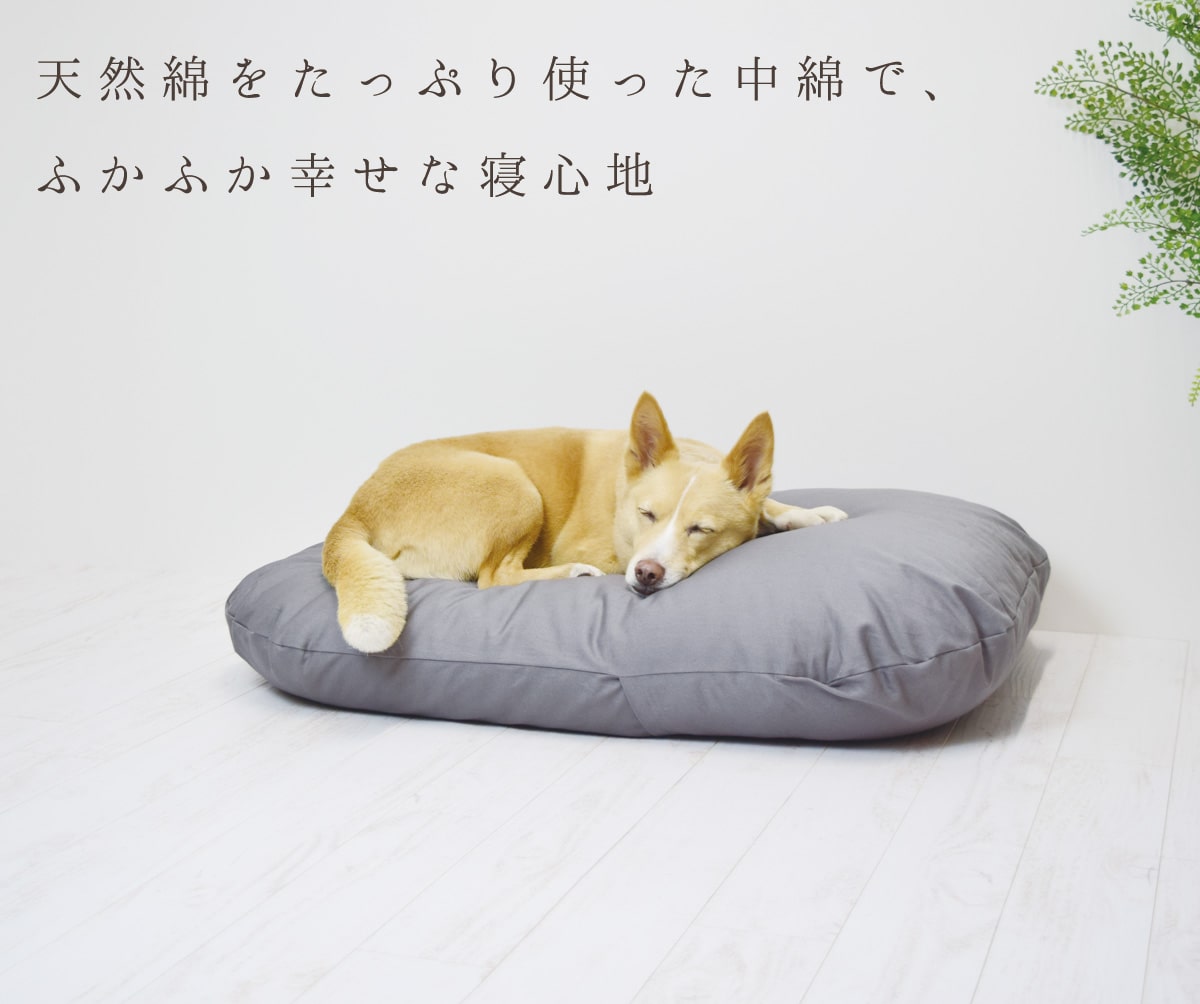 愛犬用ベッド 国産 至福のふかふか夢ふとん L 60×80 カバー付 お届け