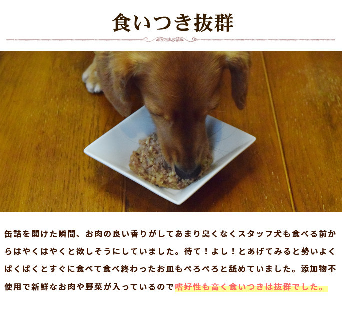 食いつき抜群