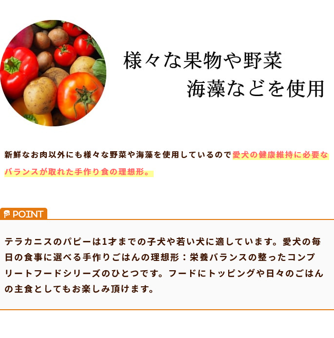 愛犬の健康維持 バランスが取れた手作り食