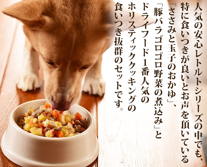 帝塚山ハウンドカム 愛犬用フードセット 食いつき抜群レトルトとホリ
