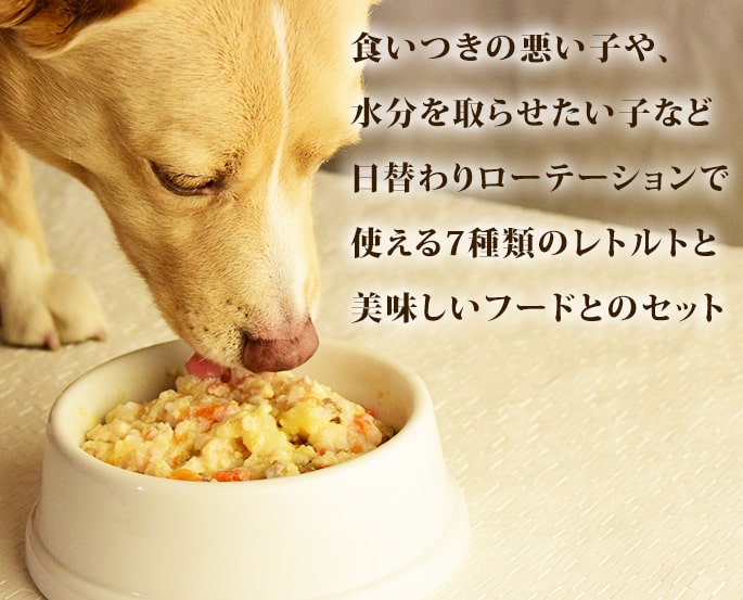 ホリスティック　クッキング　ホース　フィッシュ　全4袋 ホリスティッククッキング フィッシュ ｜ドッグフードの通販