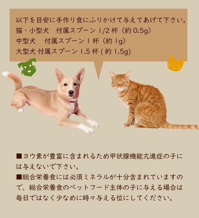 猫小型犬で付属スプーン1/2