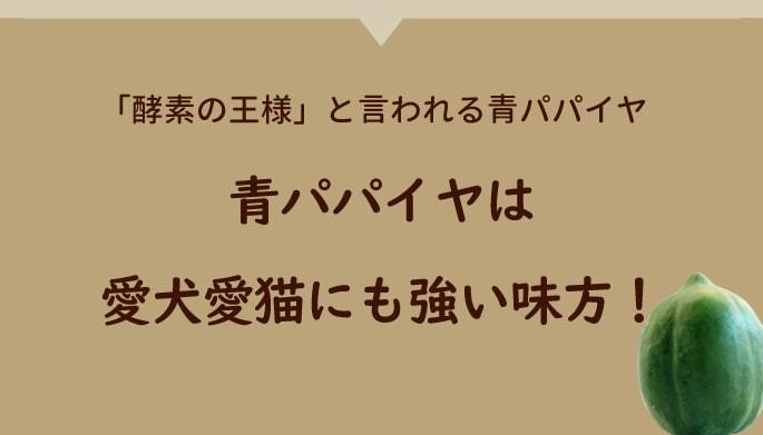 酵素の王様