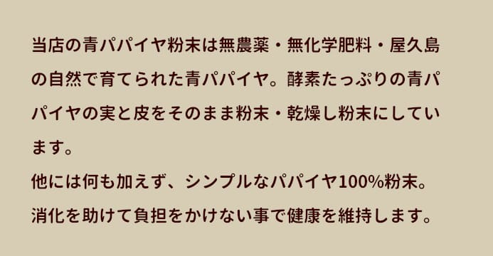 シンプルなパパイヤのみの粉末