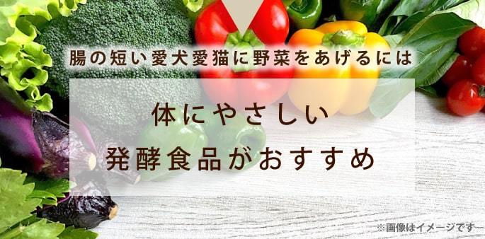 愛犬愛猫の健康維持に