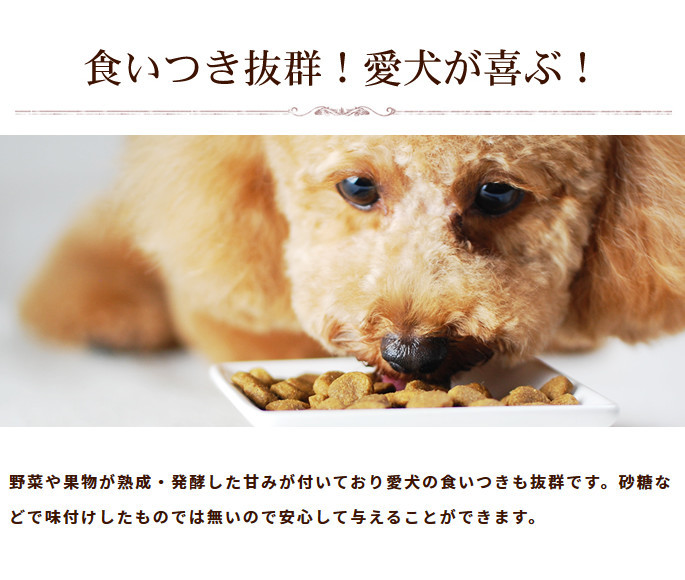 愛犬の食いつき抜群