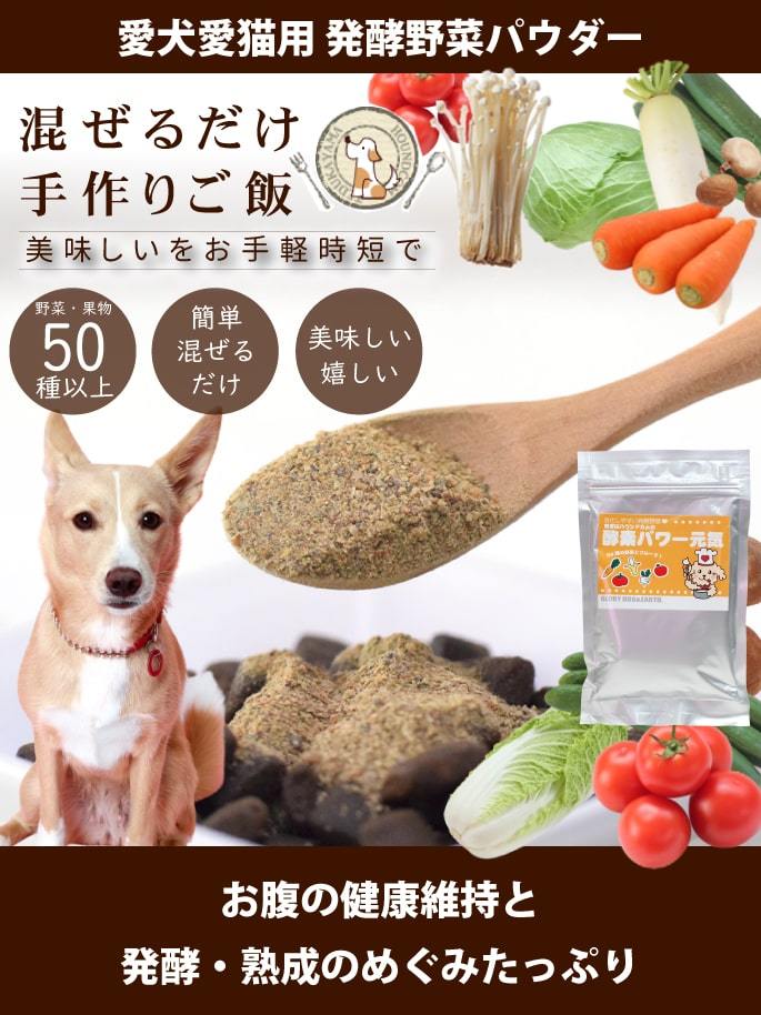 犬用 手作り食材 酵素パワー元気 100g 発酵野菜 低リン 発酵食品