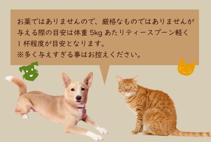 ティースプーン1杯程度がおすすめ