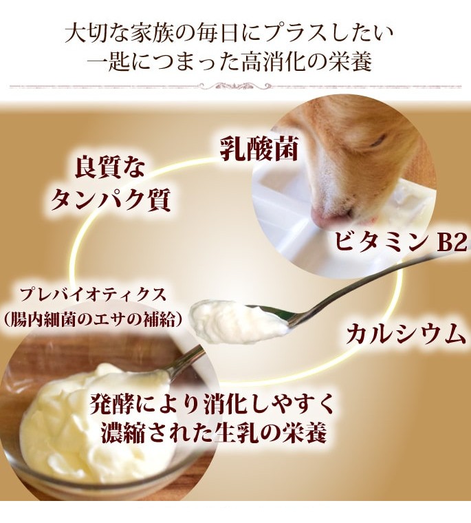 良質なタンパク質 乳酸菌 発酵 栄養