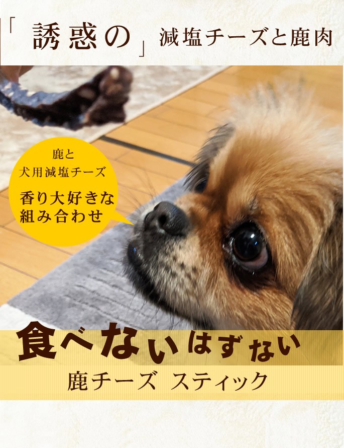 愛犬用おやつ 食べないはずない 鹿チーズスティック 5個セット Tge 犬手作りごはん帝塚山ハウンドカム 通販 Yahoo ショッピング
