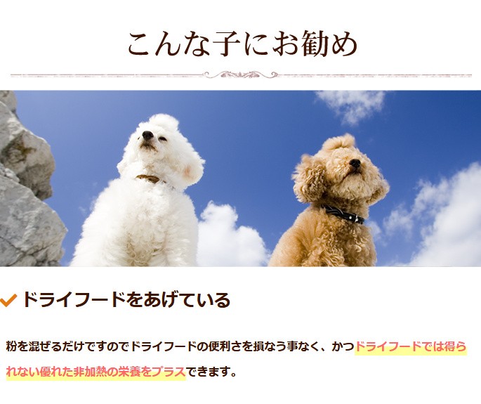 こんなこにおすすめ ドライフード 