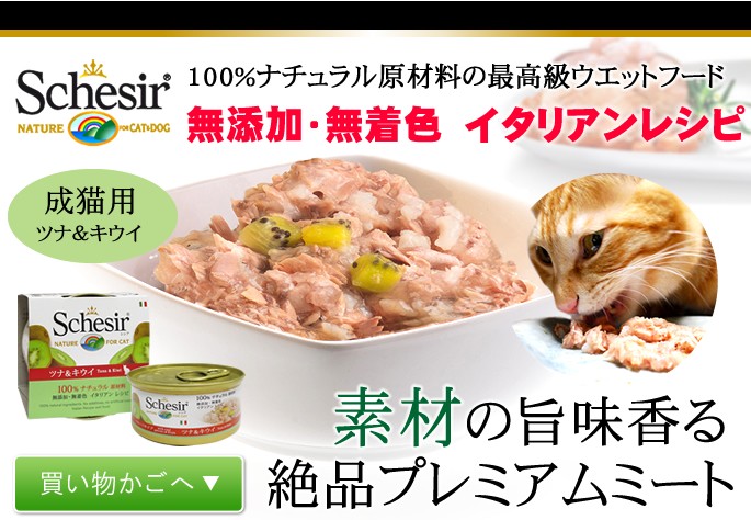 シシア（Schesir） 猫用 キャット フルーツタイプ ツナ＆キウイ 75g 14