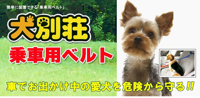 愛犬を守る乗車用ベルト