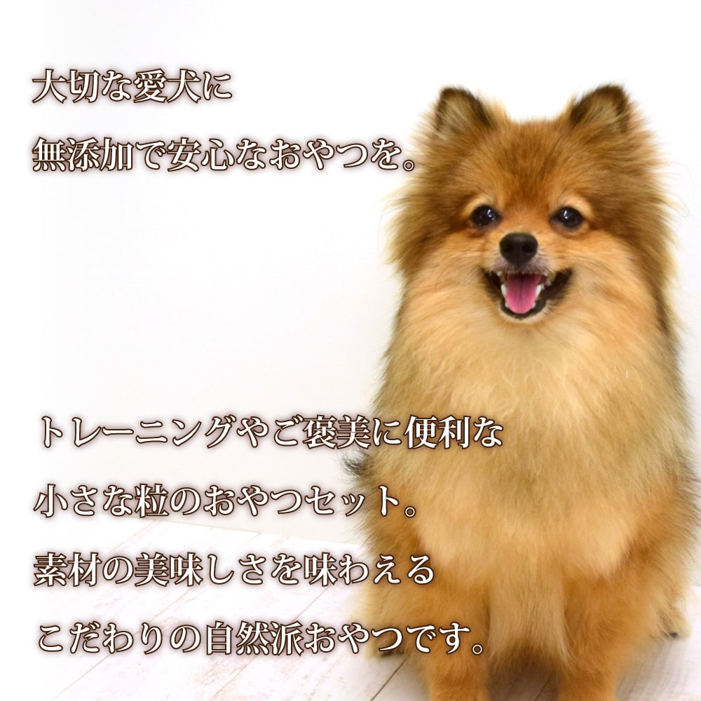 犬 おやつ 無添加 愛犬用 小さな粒の無添加おやつセット ご褒美 与え