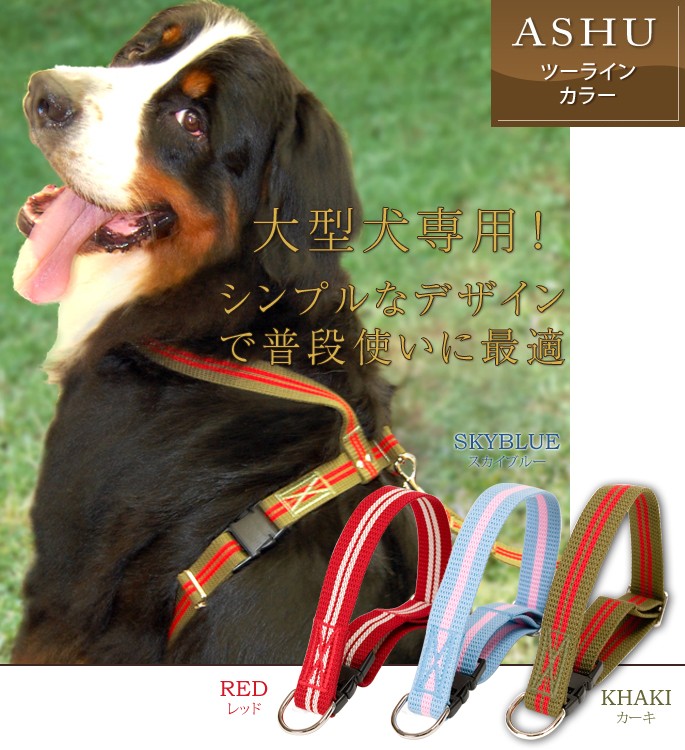 ASHUツーライン　カラー