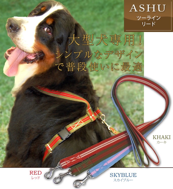 犬 リード ASHU ツーラインリード 大型犬用 スカイブルー