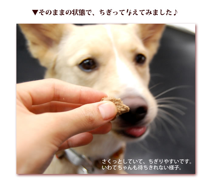 BONEフリーズドライ（犬用チキン）
