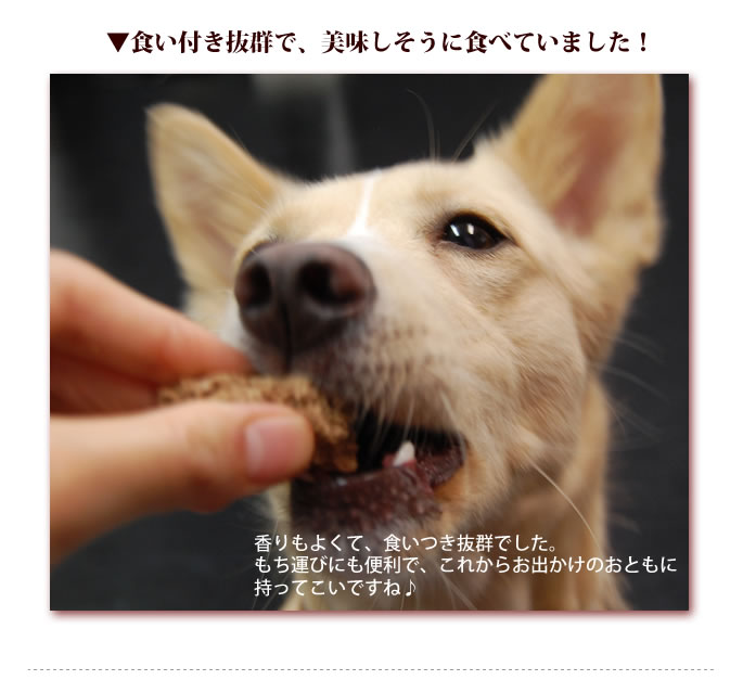 BONEフリーズドライ（犬用チキン）