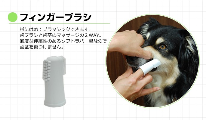 大型犬用 歯ブラシ コンボ デンタブラシDX 歯磨き嫌いな大型犬に