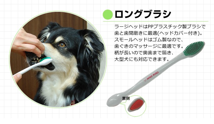 ブランシュ様♥️ダックス 虫歯予防デー オブジェ 大型犬用 歯ブラシ コンボ デンタブラシDX 歯磨き嫌いな大型犬に