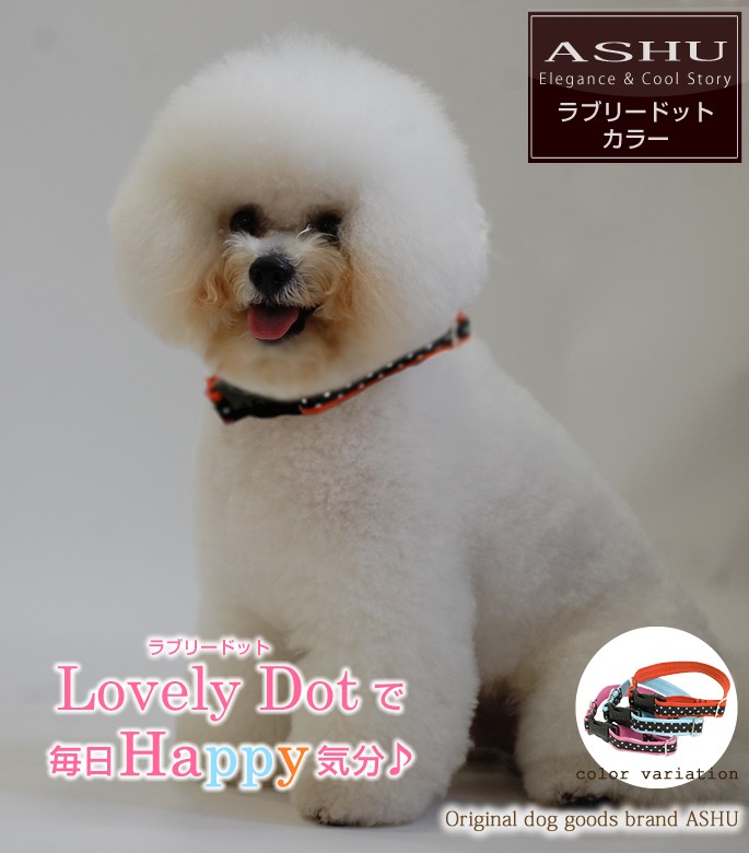 Ray Dog Kyoto　THEANIMALS 　犬首輪　Mサイズ ASHU 犬 首輪 ラブリードット カラー・首輪 サイズM : 安心おやつ