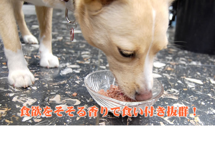 無添加ドッグフード レトルト鶏ガラ肉ミンチ ウェットフード