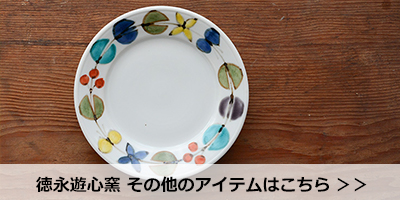 九谷焼 九谷青窯 八角皿 徳永遊心 色絵花蛍 作家 大皿 取り皿 和食器