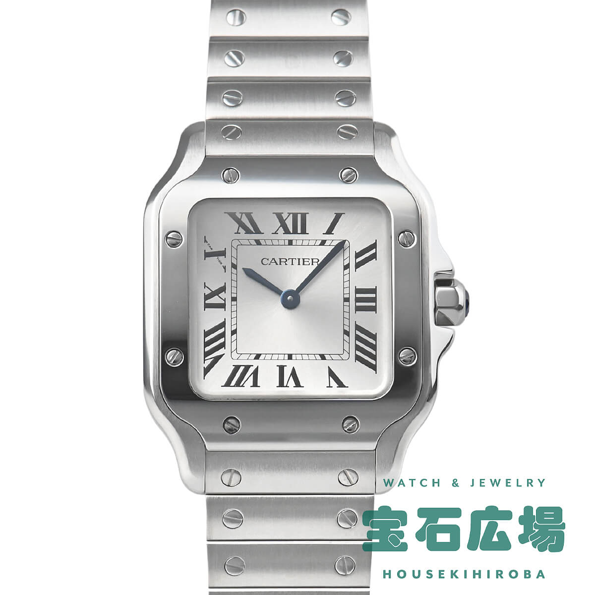 JeBG Cartier TgX hD JeBG SM WSSA0082 Vi fB[X rv