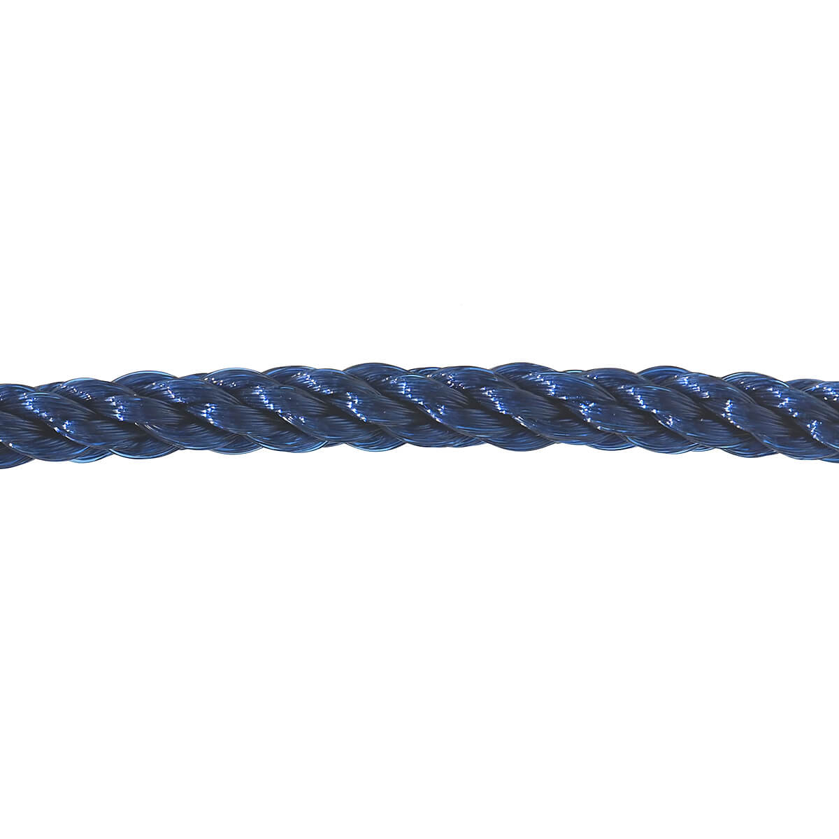 Fred フレッド FRED フォース10 ネイビーブルー ケーブル（LM） 6B1056