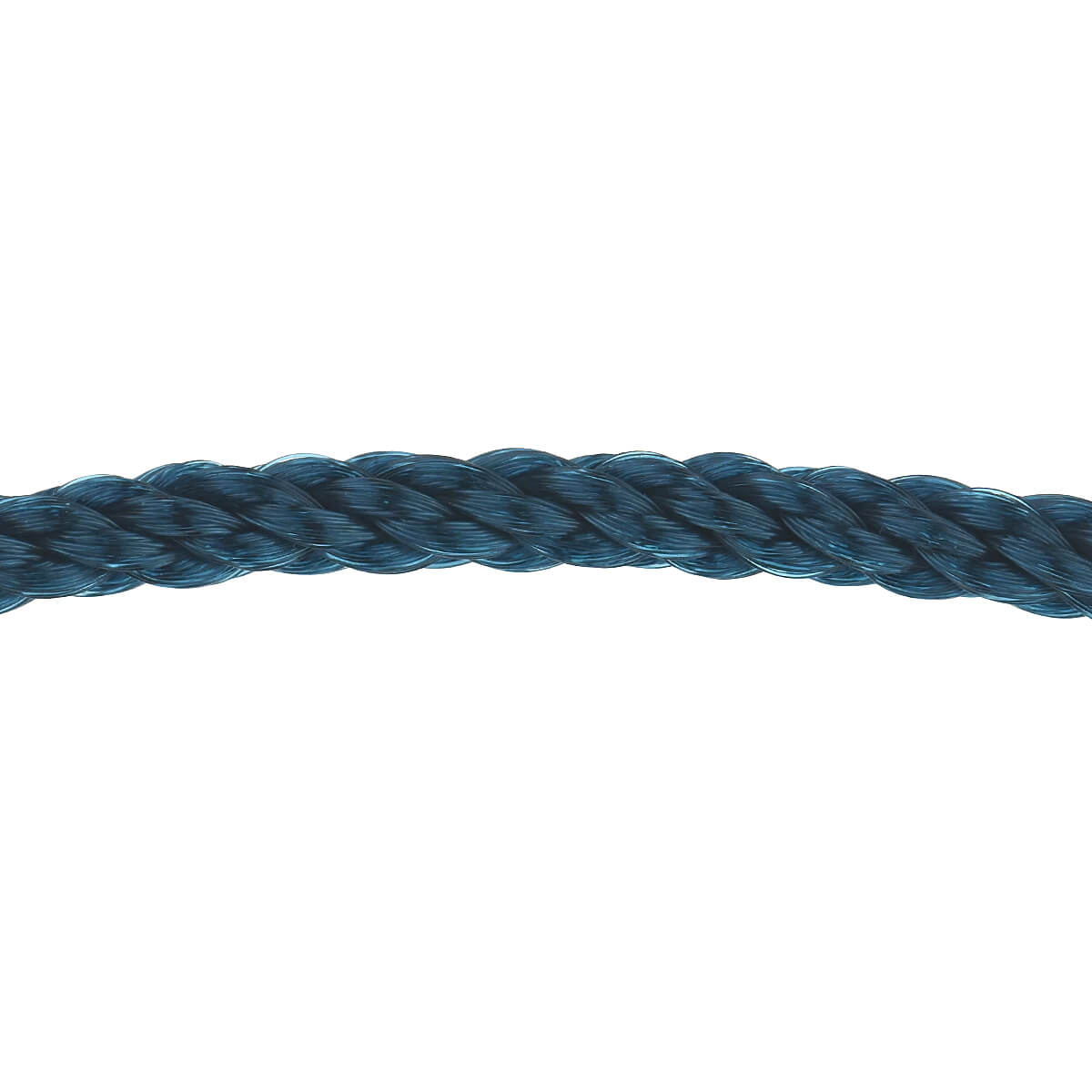 Fred（フレッド） フォース10 リヴィエラブルー ケーブル（LM） 6B1177