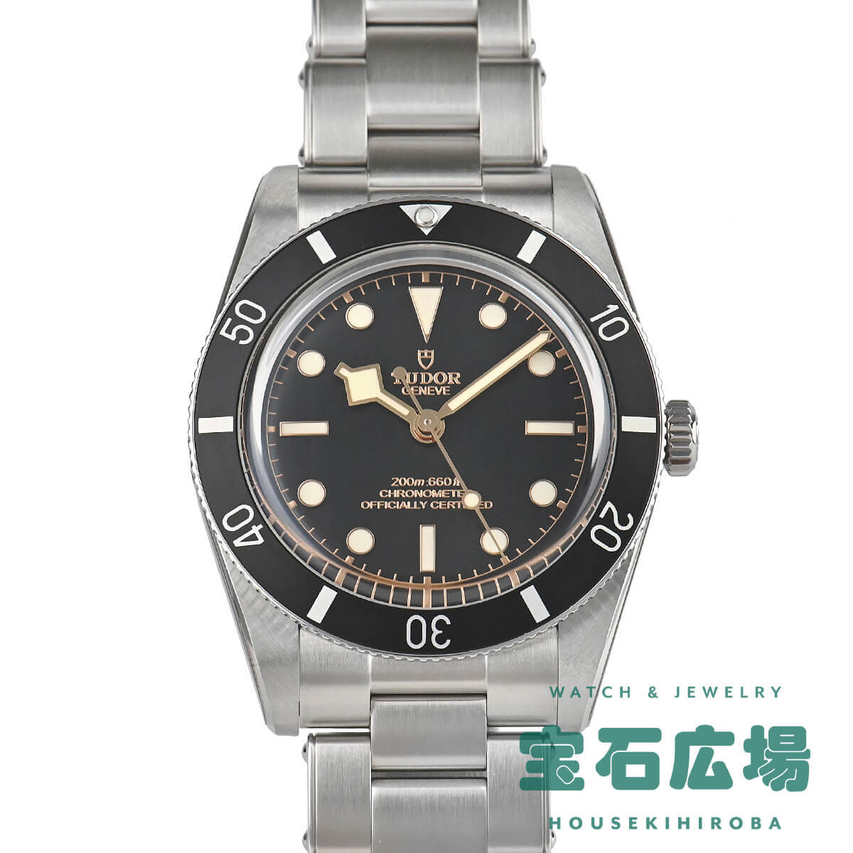 チューダー TUDOR ブラックベイ 54 M79000N-0001 新品 メンズ 腕時計｜houseki-h