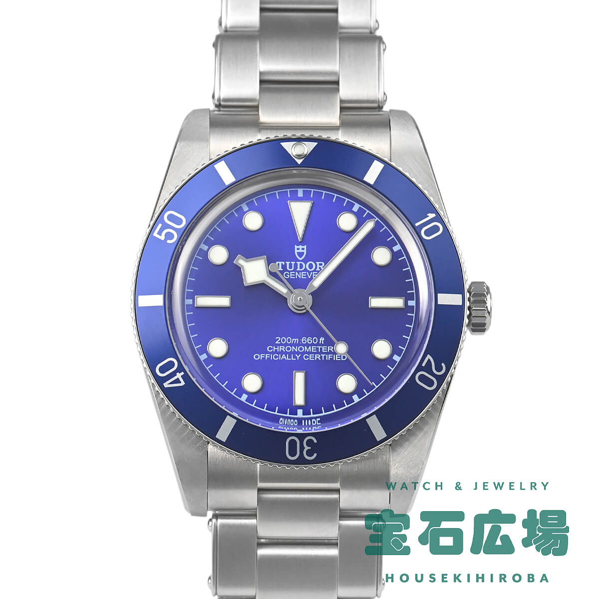 �`���[�_�[ TUDOR �u���b�N�x�C 54 M79000B-0001 �V�i �����Y �r���v