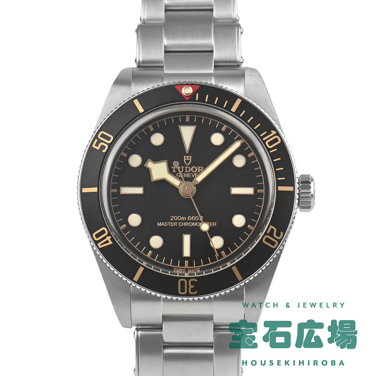 �`���[�_�[ TUDOR �u���b�N�x�C 58 M7939A1A0NU-0002 �V�i �����Y �r���v