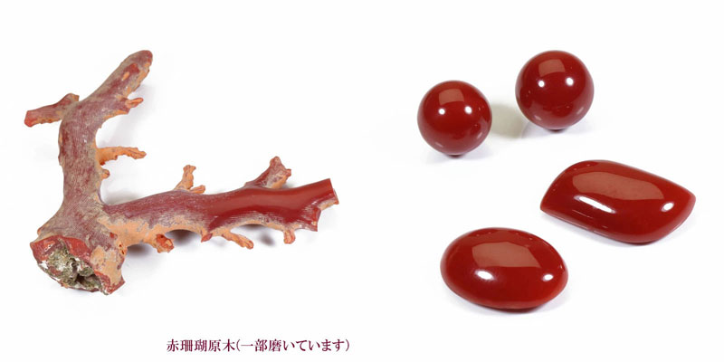 宝石珊瑚のSANSUI 血赤珊瑚 丸玉 ネックレス ペンダント 無染色 K18YG