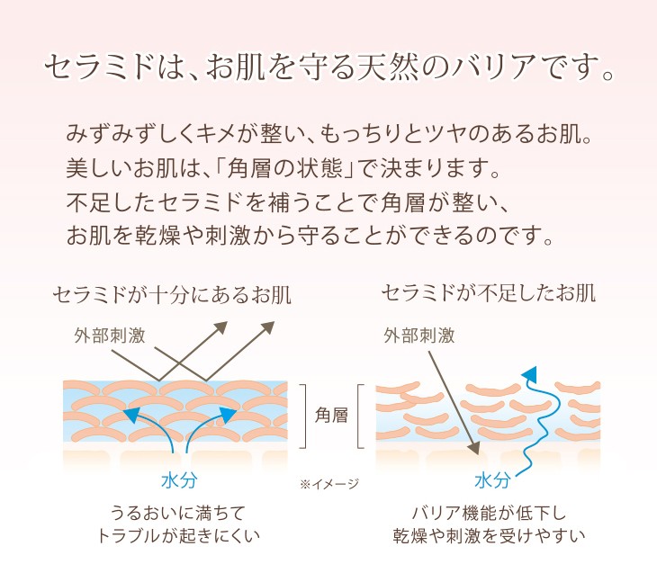 ボディソープ ドゥ・サージ モイスチュア ボディソープ 300mL